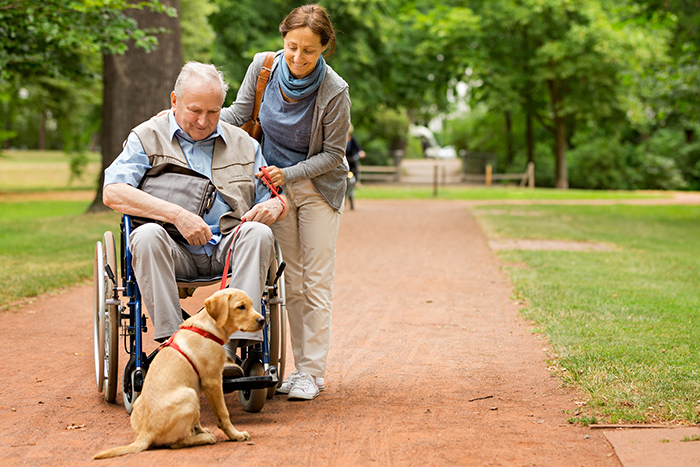 Woman pushing man in wheelchair outside while walking dog