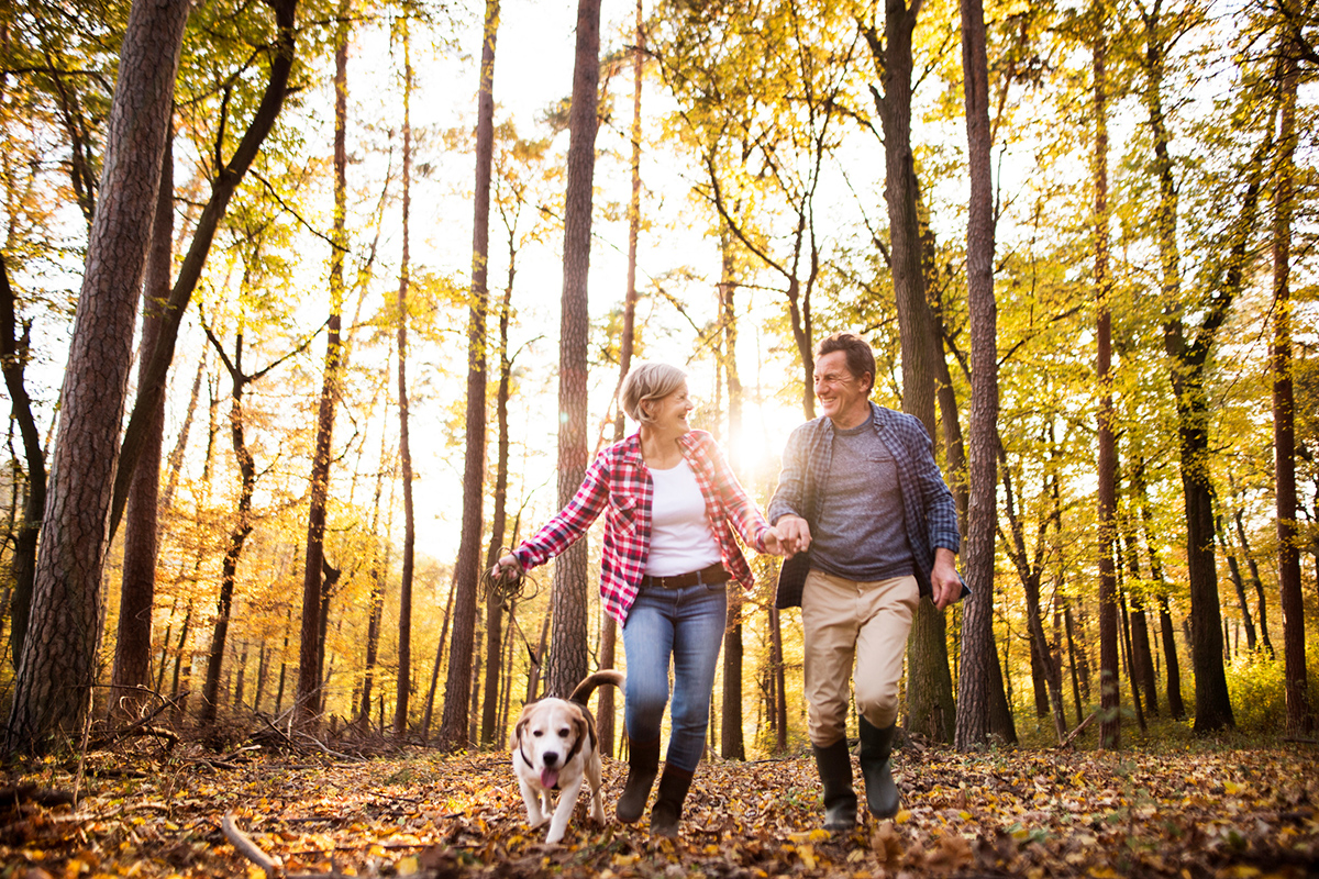 Happy mature couple hiking through woods with dog on a leash