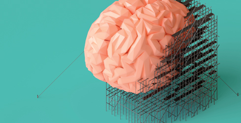 Illustration of a brain on a structure